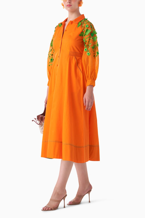 Sunset Orange Mimosa Dress