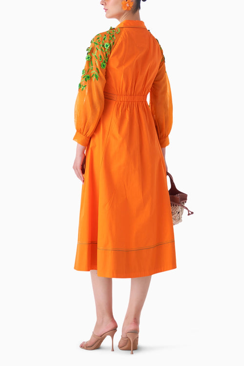 Sunset Orange Mimosa Dress