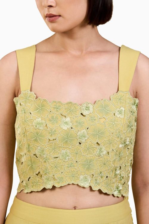 Sage Green Embroidred Bustier