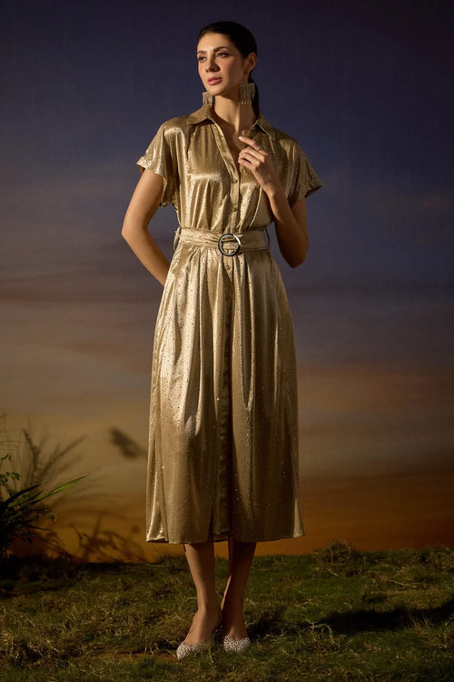 Starlight Beige Dress
