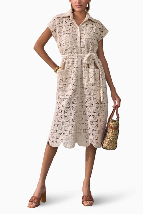Lace Enchantment Dress