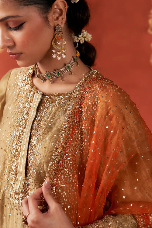 Riwaayat Kurta Set - The Sverve