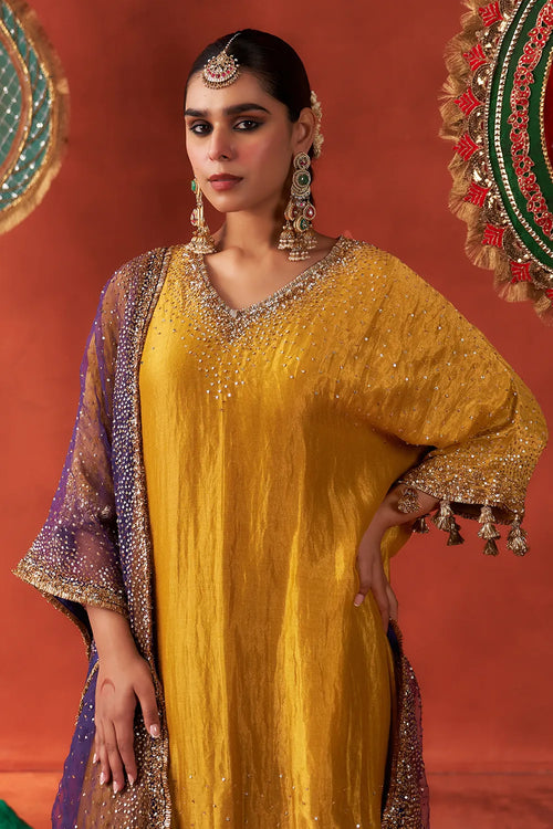 Zari Kurta Set - The Sverve