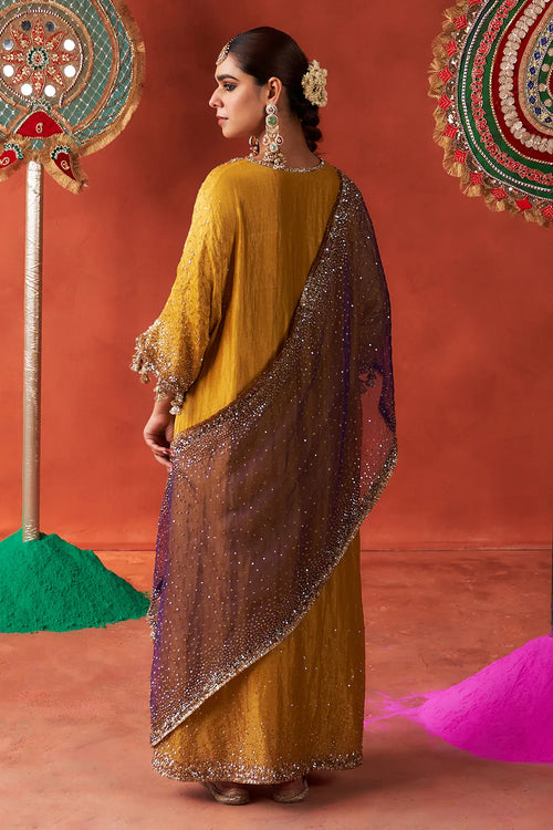 Zari Kurta Set - The Sverve