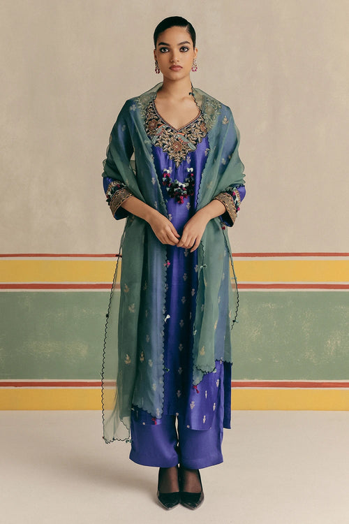 Blue Toucan Banarsi Kurta With Pants And Dupatta