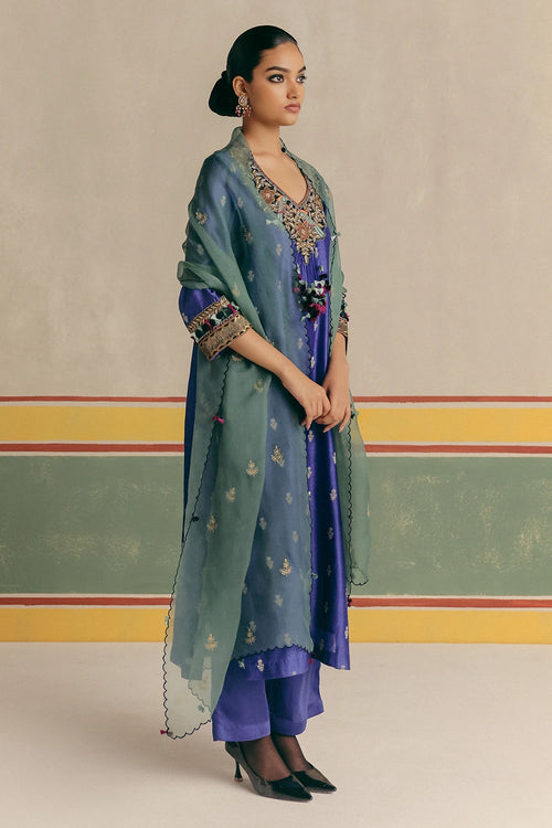 Blue Toucan Banarsi Kurta With Pants And Dupatta