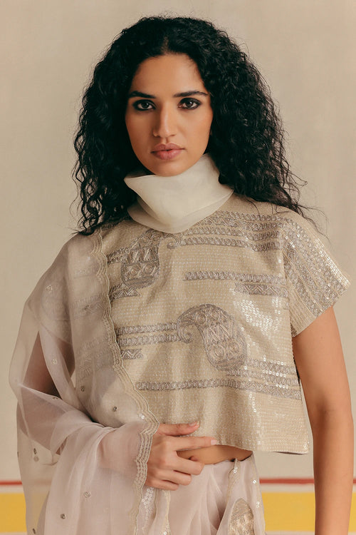Chandi Antifit Blouse And Saree In Organza