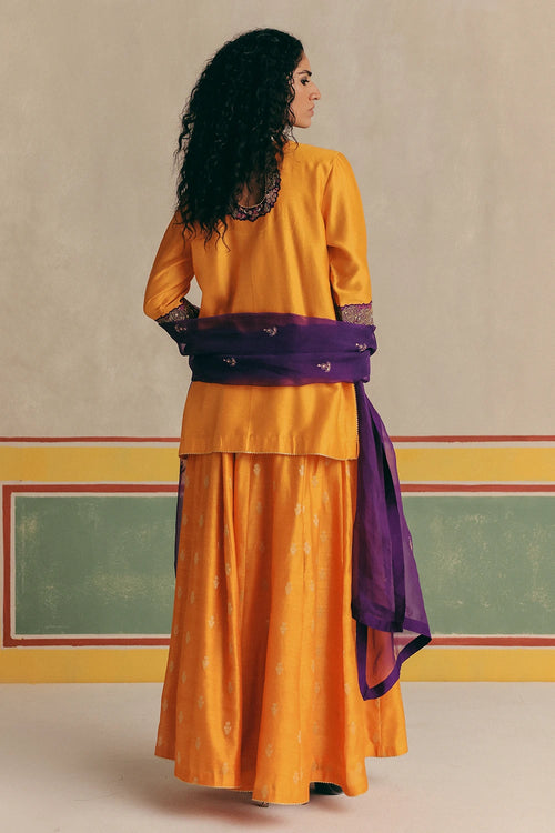 Orange Dahlia Banarsi Kurta With Pants And Dupatta