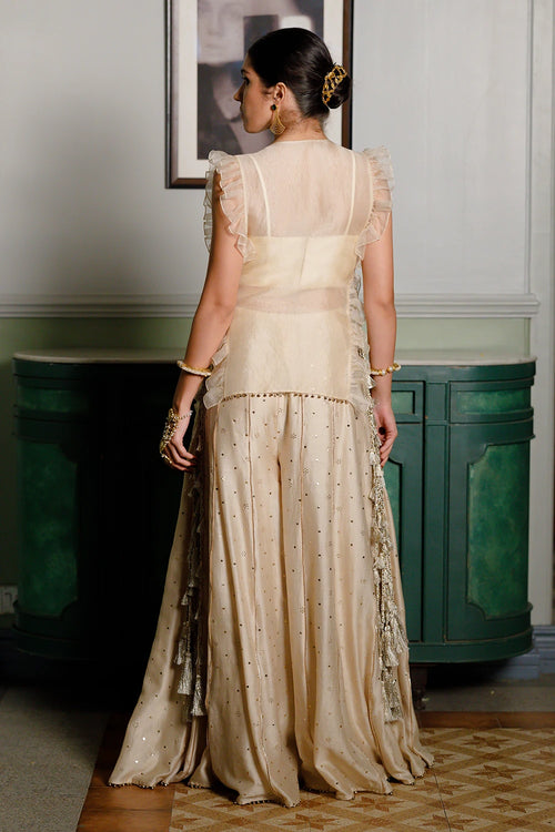 Fawzia Stone Embroidered Bib With Bustier And Sharara Set