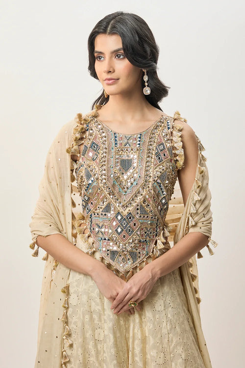 Yasna Stone Georgette Half Back Covered Embroidered Choli With Lehenga And Mukaish Mul Dupatta