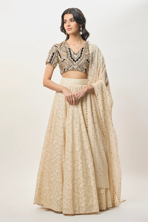 Mahtab Stone Georgette Embroidered Choli With Lehenga And Mukaish Mul Dupatta