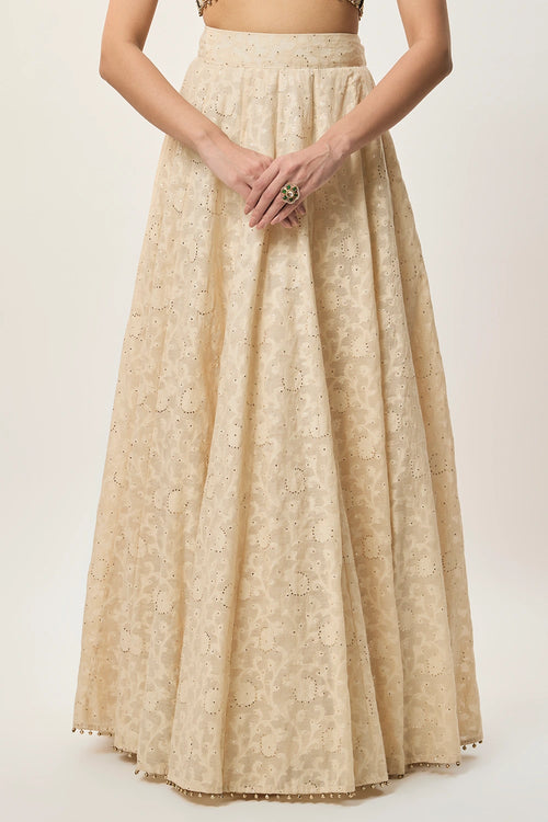 Mahtab Stone Georgette Embroidered Choli With Lehenga And Mukaish Mul Dupatta