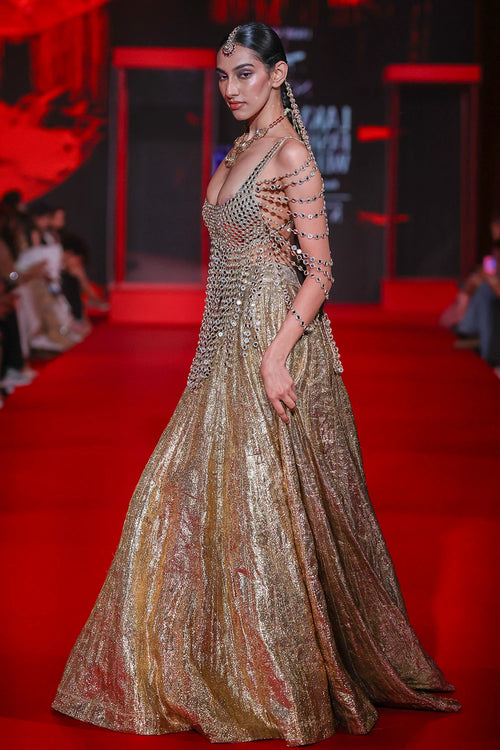 Darpanika Lehenga Set