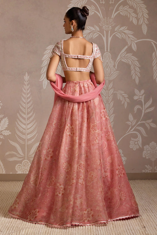 Flare Coral Print Embroidered Net Blouse & Organza Skirt Set