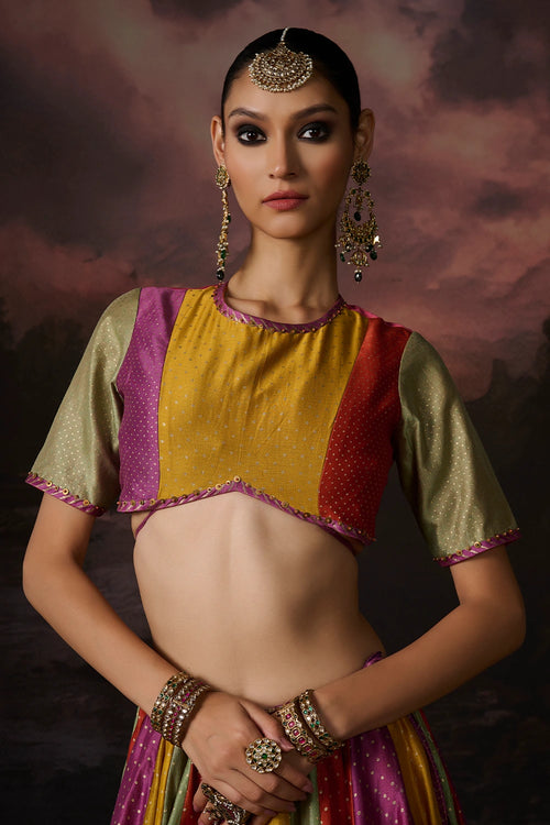 Amal Multicolor Lehenga Set