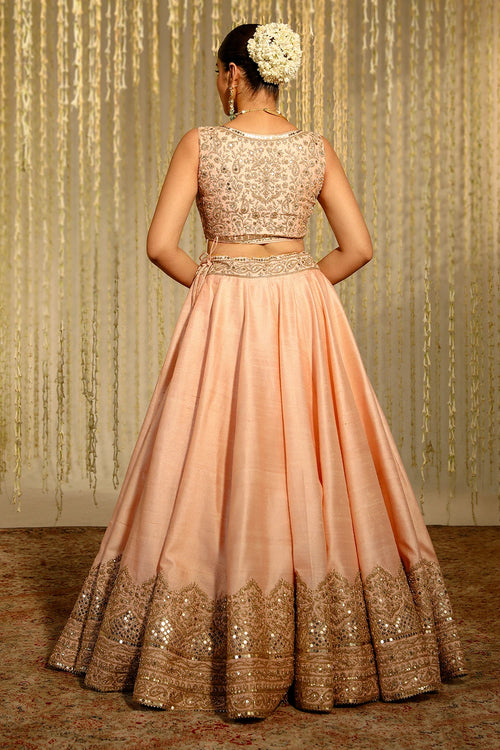 Aasiya Rose Pink Lehenga Set