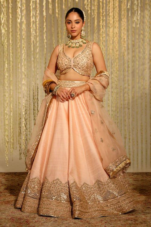 Aasiya Rose Pink Lehenga Set