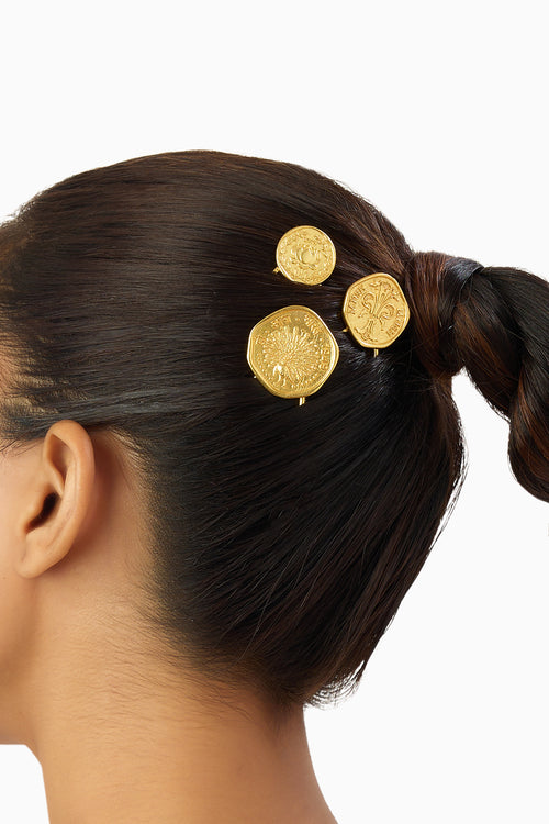 Coin Hair Pin Set