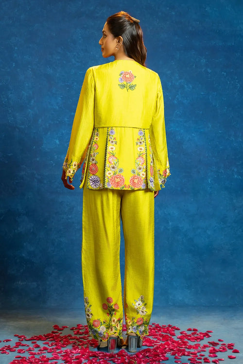 Baghira Embellished Panelled Pant Set