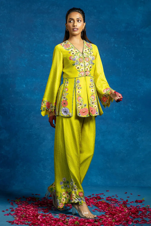 Baghira Embellished Panelled Pant Set