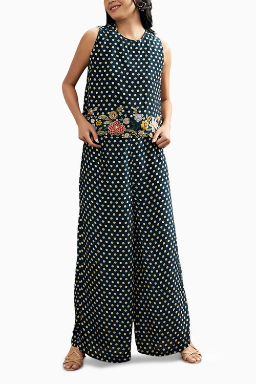 Gulista Embroidered Co-ord Set