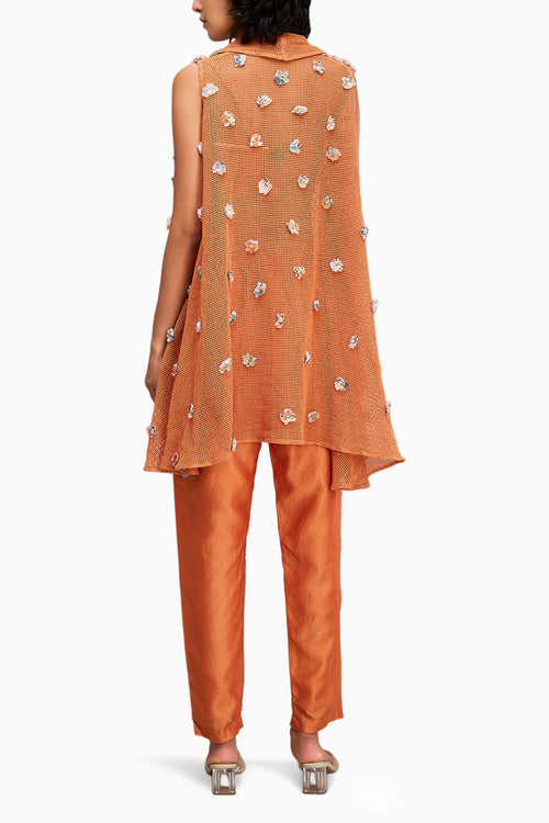 Conversational Embellished Co Ord Set With Cape