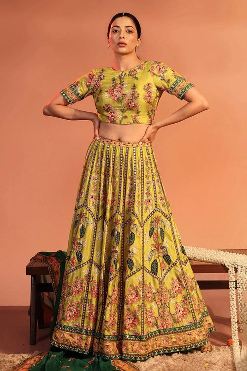 Tamaya Embroidered Lehenga Set