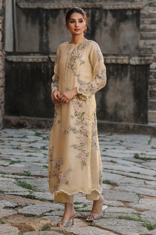 Vaayu Beige Multicolor Jaal Kurta Set