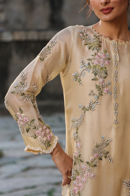 Vaayu Beige Multicolor Jaal Kurta Set