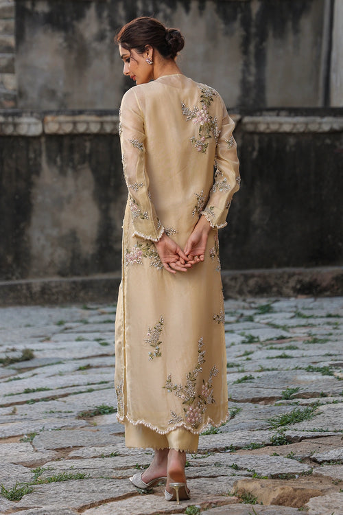 Vaayu Beige Multicolor Jaal Kurta Set