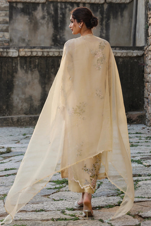 Vaayu Beige Multicolor Jaal Kurta Set