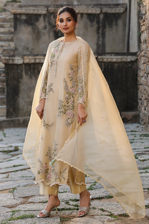 Vaayu Beige Multicolor Jaal Kurta Set
