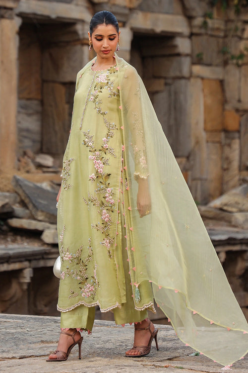 Vaayu Green Multicolor Jaal Kurta Set