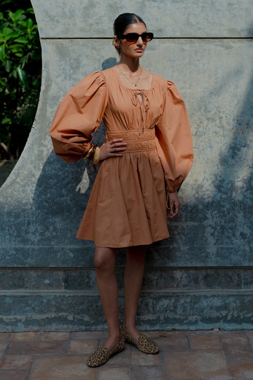 Mocha Dress