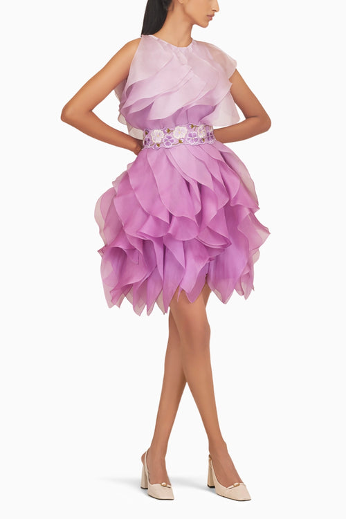 Ombre Ruffle Dress With  Belt