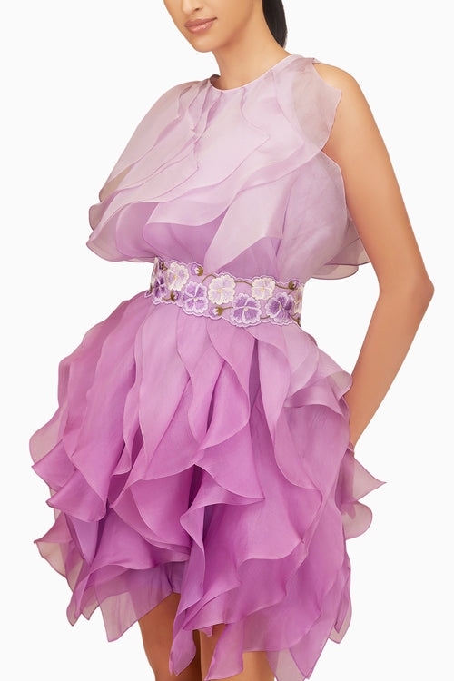 Ombre Ruffle Dress With  Belt