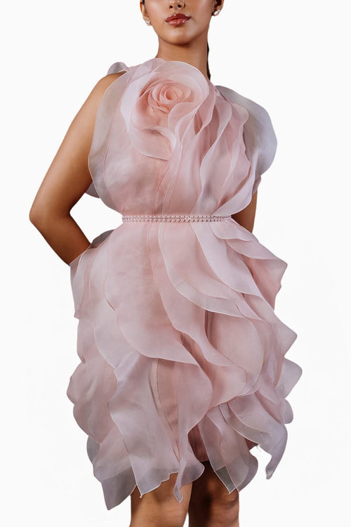 Rosette Ruffle Dress With Belt