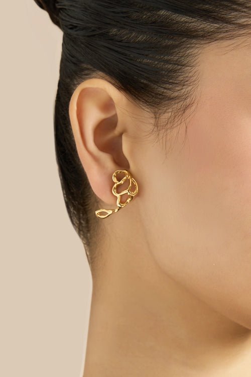 Tide  Studs