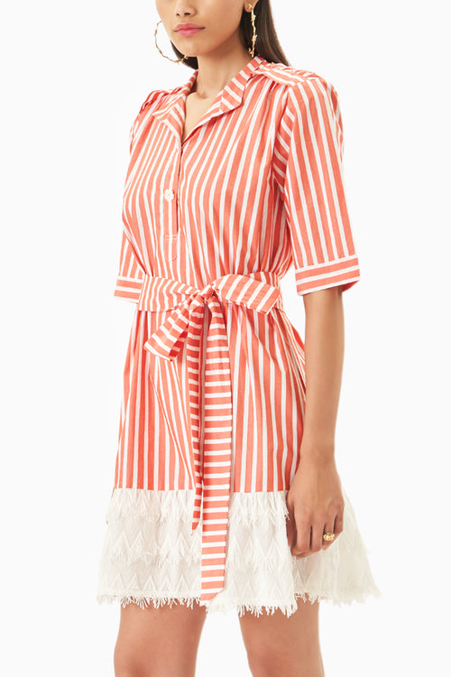 Cotton Quirk Dress