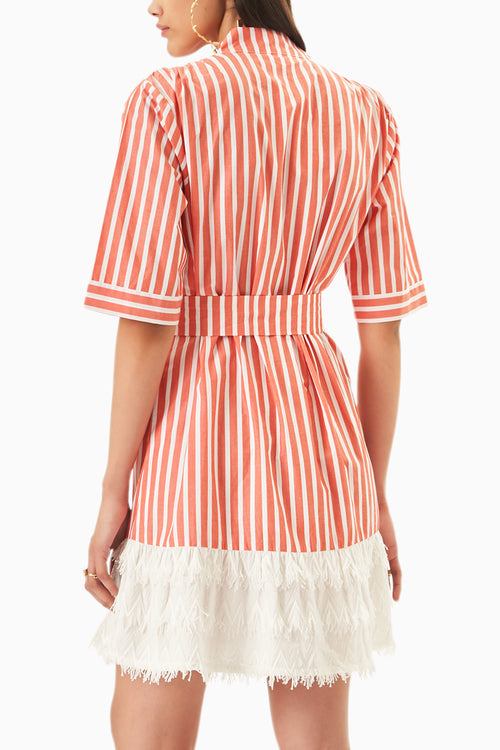 Cotton Quirk Dress