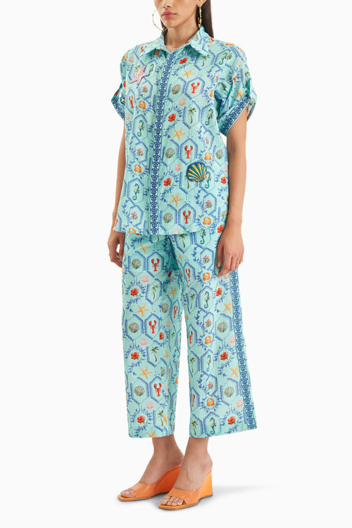 Blue Sebastian Shirt and Pant