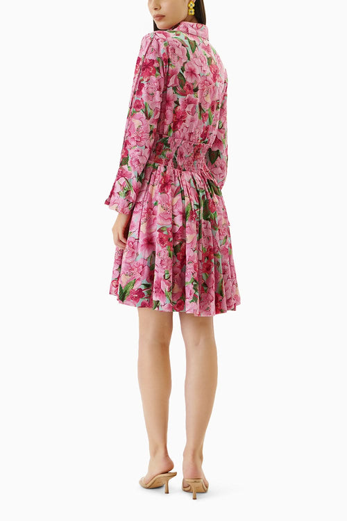 Floral Sheered Waistline Dress