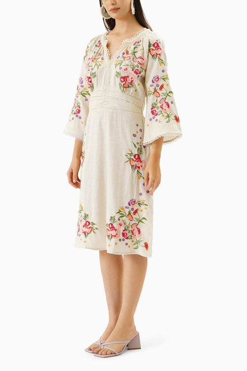 The Enchanted Embroidered Dress