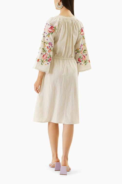 The Enchanted Embroidered Dress