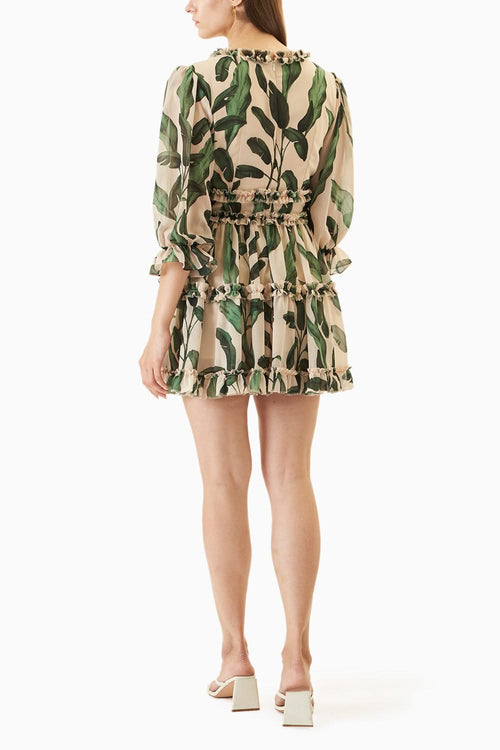 Off White & Green Short Dress