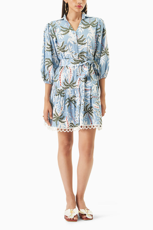 Bold Palm Dress