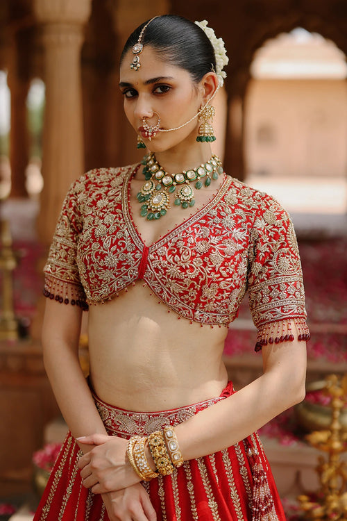 Roha Deep Red Lehenga Set with Blouse and Dupatta