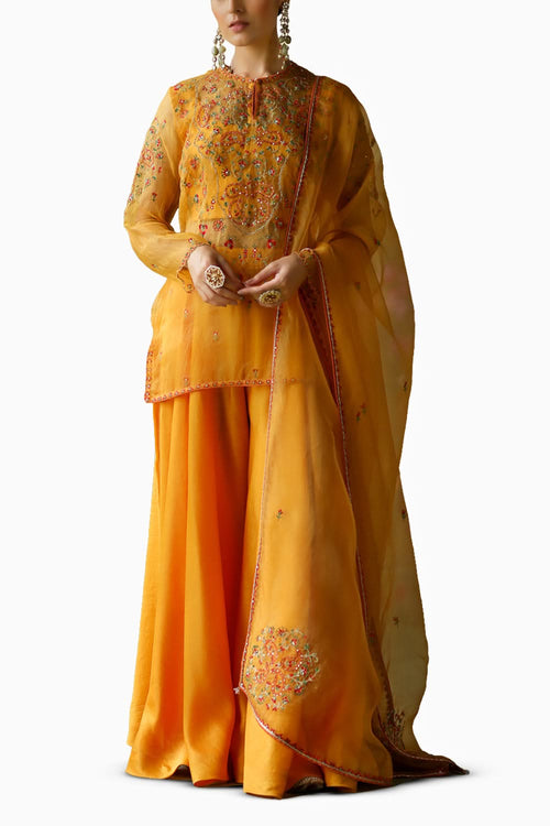 Baani Sharara Set