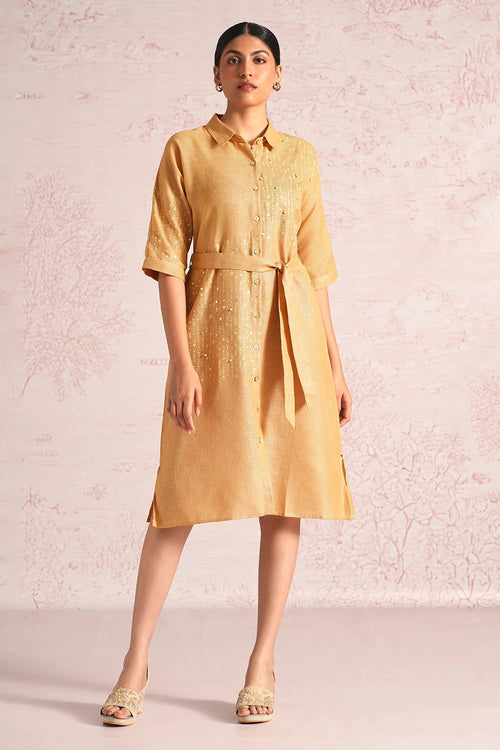 Shimmer Strings Cashew Kyra Dress