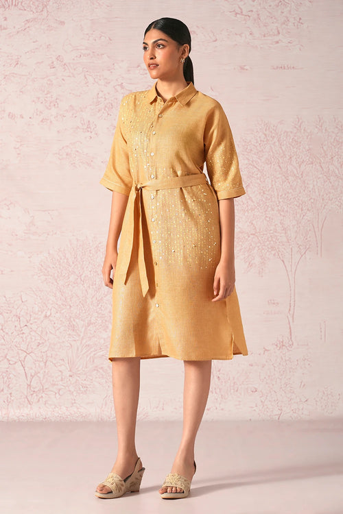 Shimmer Strings Cashew Kyra Dress